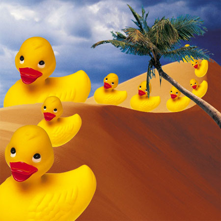  ducky family op vakantie in de woestijn.